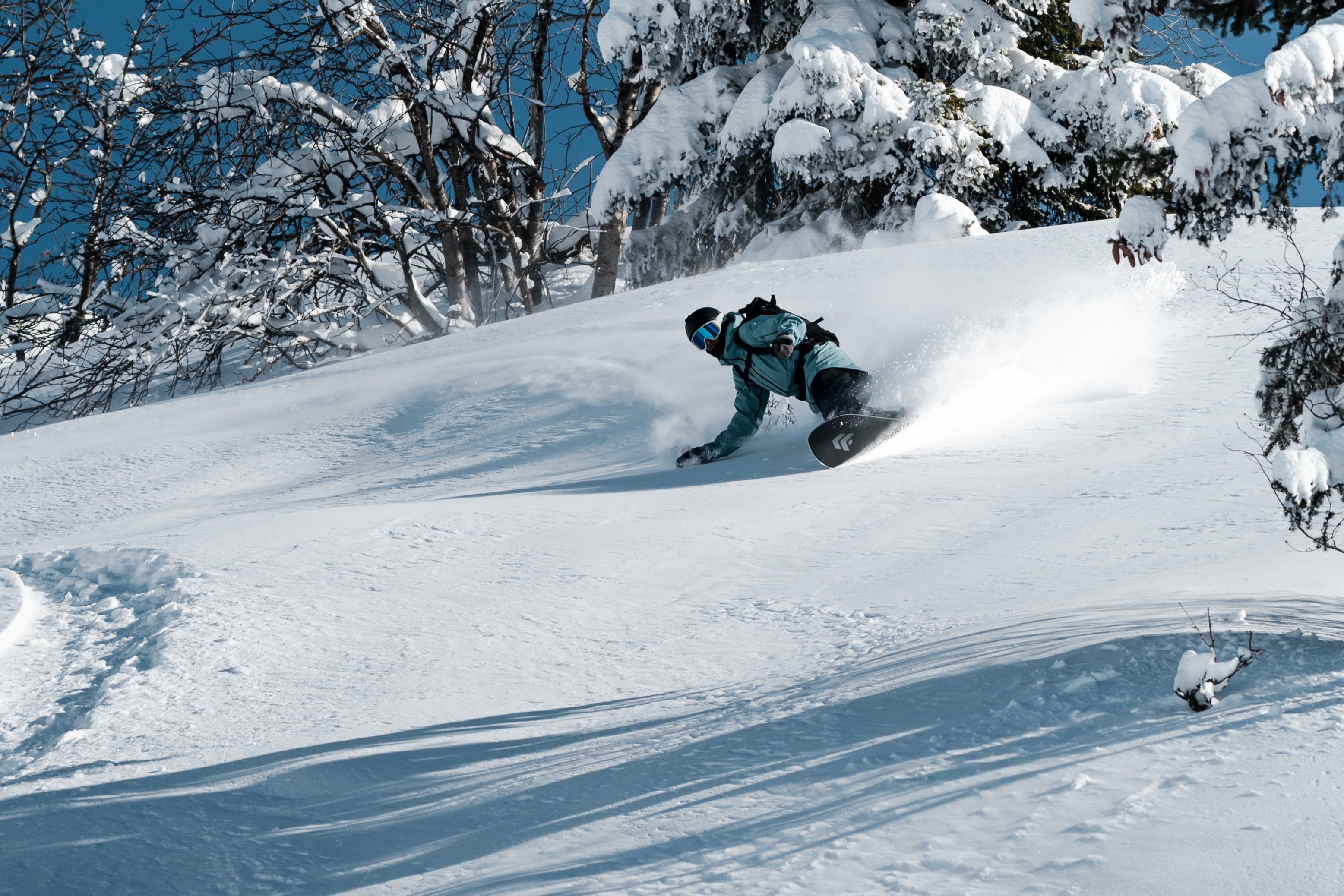 Borealis Drakkar Freeride Carving Eco-Friendly Snowboard