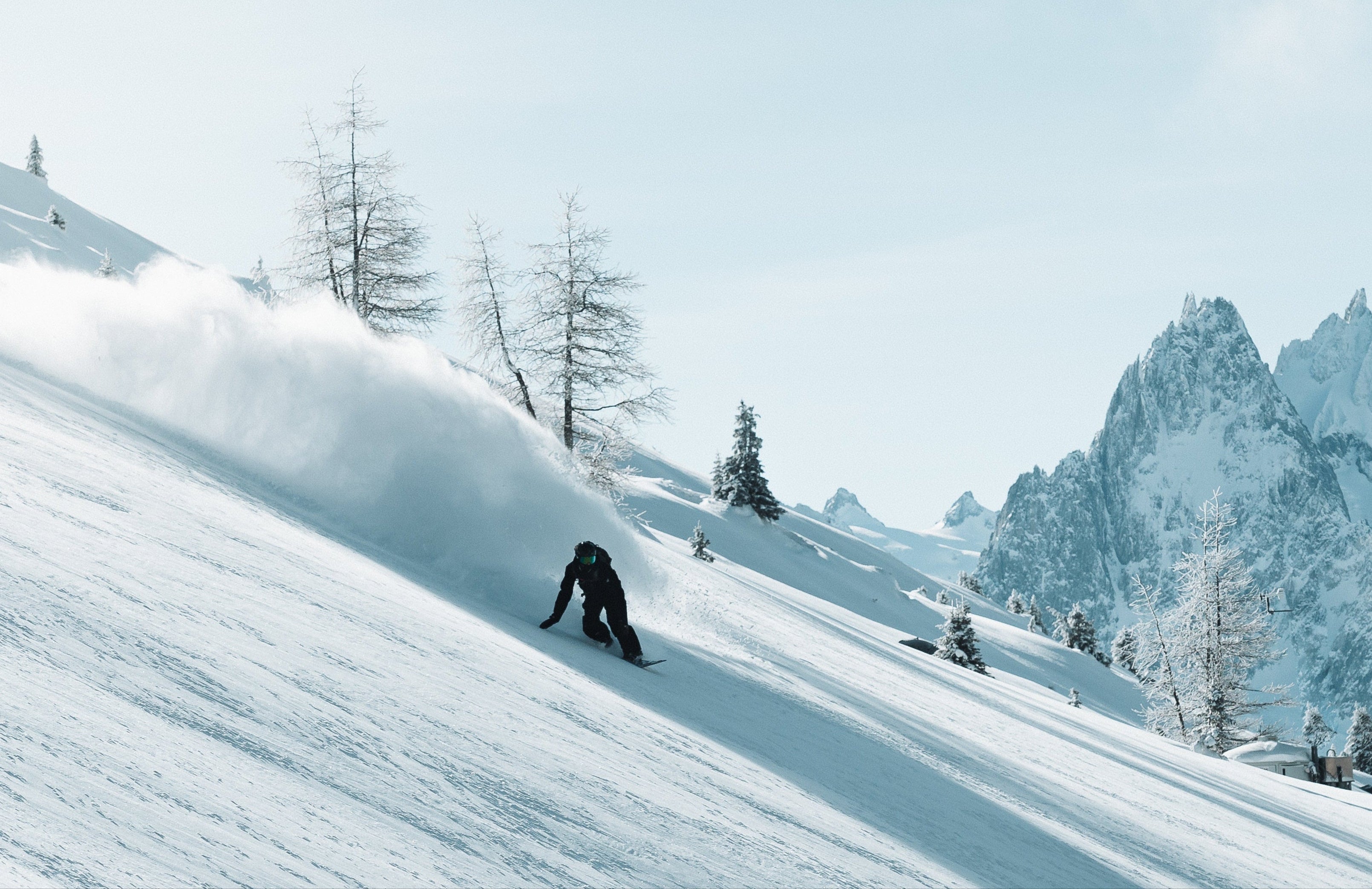 From the French Alps to the World: The Borealis Story