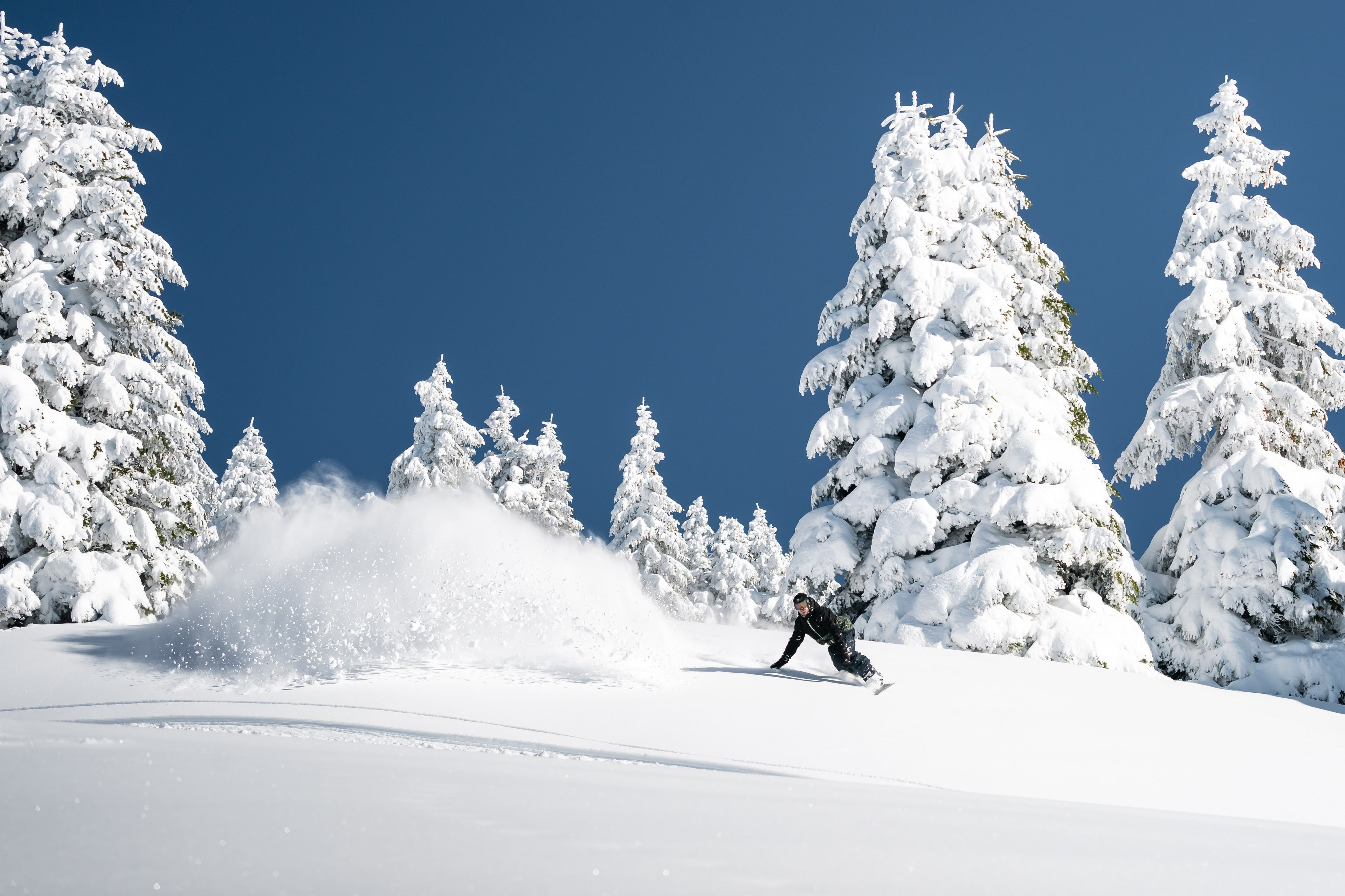 Borealis Auriga Snowboard
