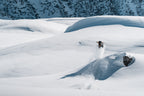 Borealis 2025 Artefact Snowboard