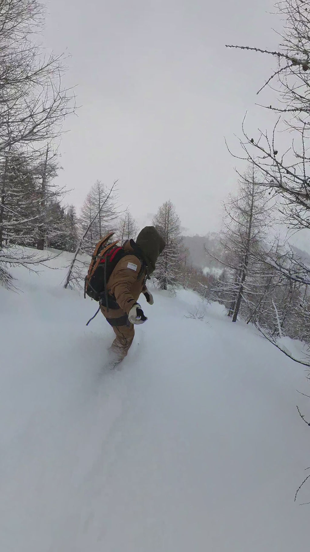 Borealis Koi Snowboard
