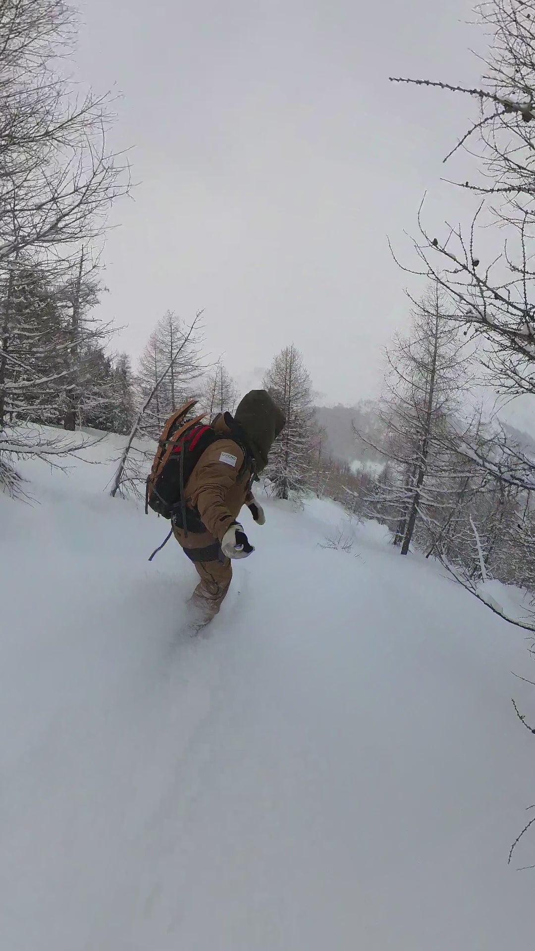 Borealis Koi Snowboard