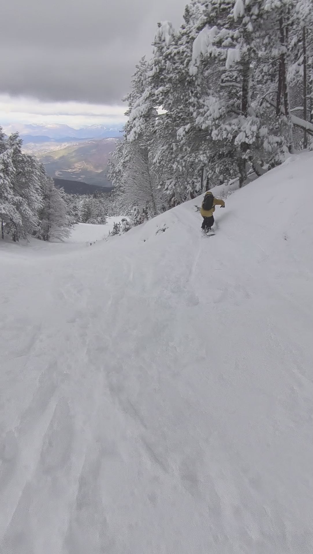 Snowboard Borealis Auriga
