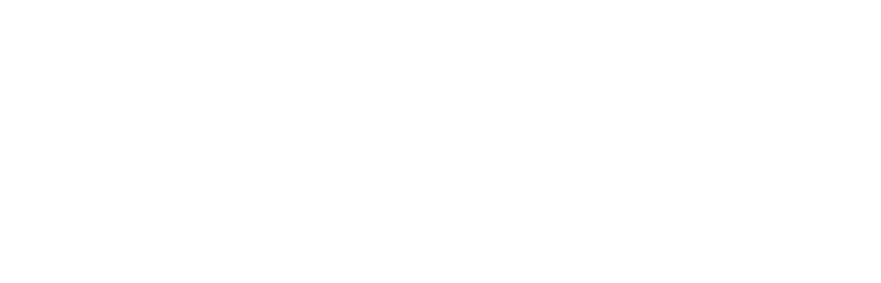 Borealis Snowboards